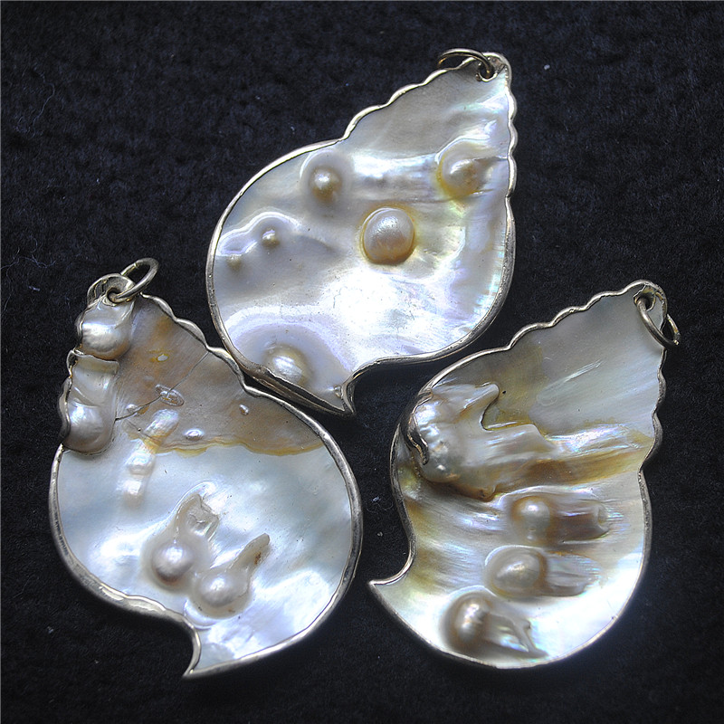 3PCS Nature Shell Pendants Mot - Women Fashion Nz avaliação e preço