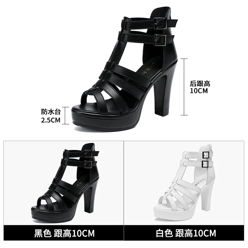 Gladiator Ladies Shoe for Wome - Women Fashion Ideas avaliação e preço